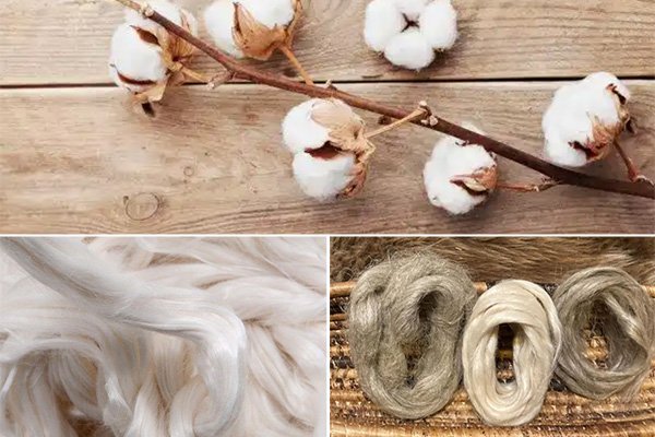 Home cotton .jpg