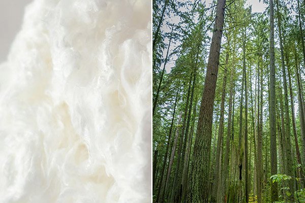 Home viscose.jpg