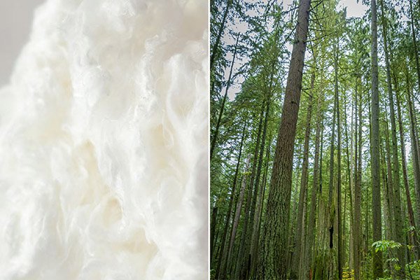viscose